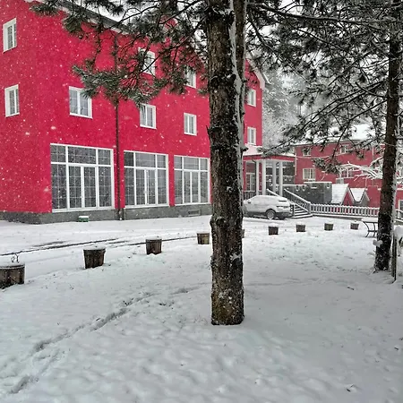 Sh & Sh Hotel 5*